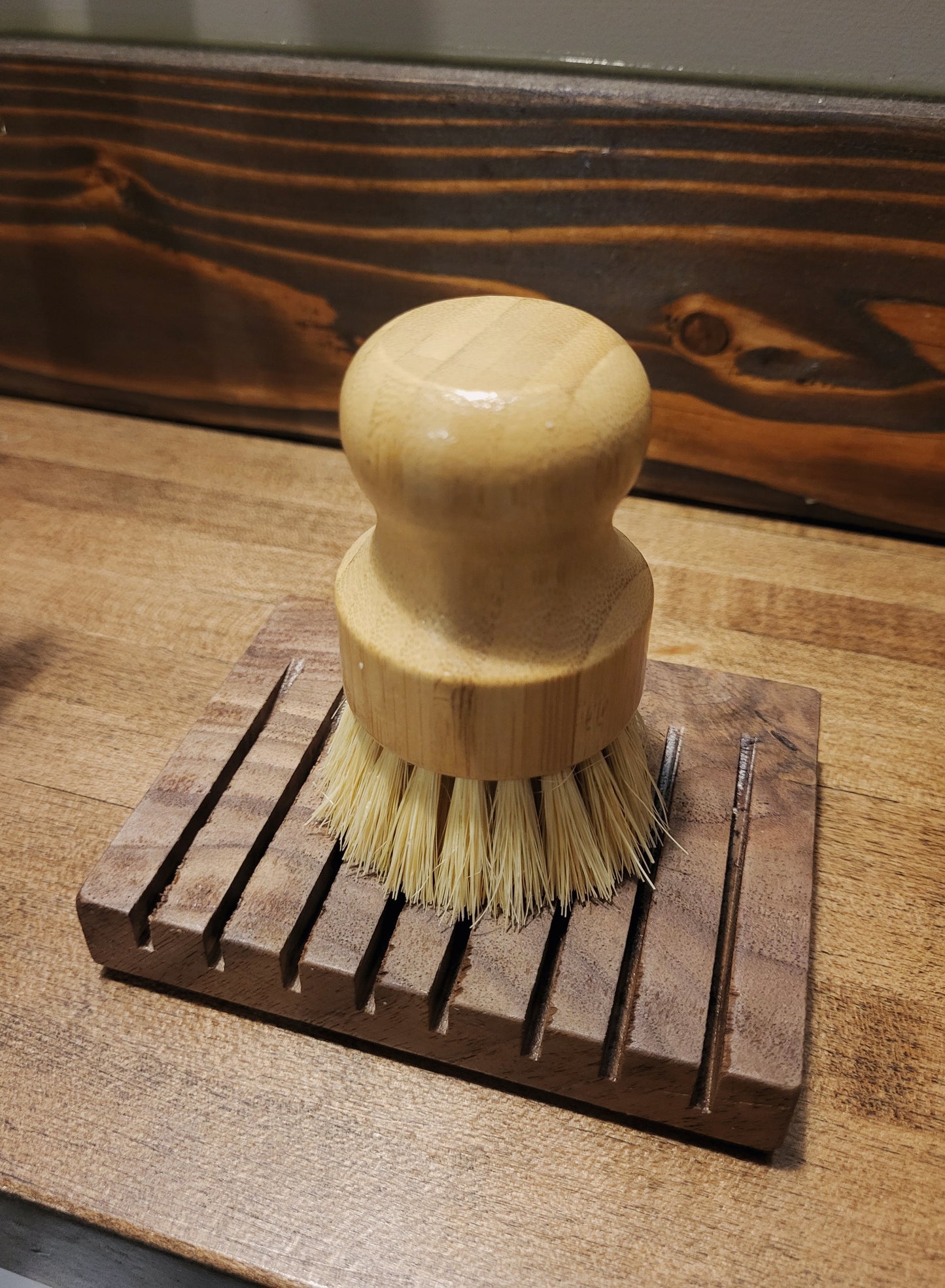 Dish Brush